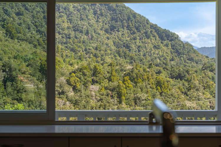 317 Maungatapu Road Pelorus Bridge_38