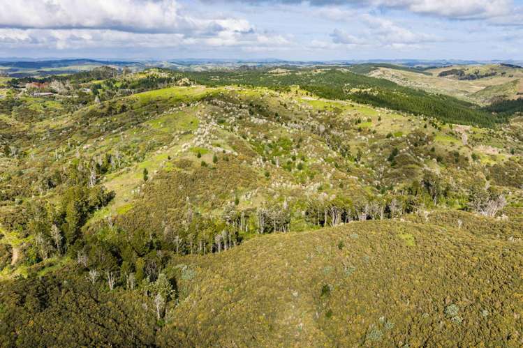Lot 8/670 Bickerstaffe Road Maungaturoto_6