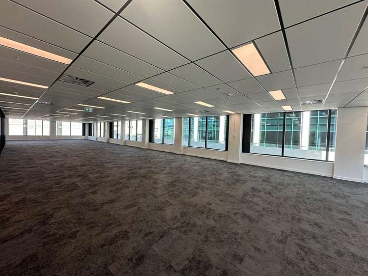 105 Carlton Gore Road Newmarket_4