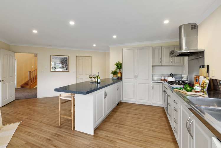 3 Claremont Rise Levin_5