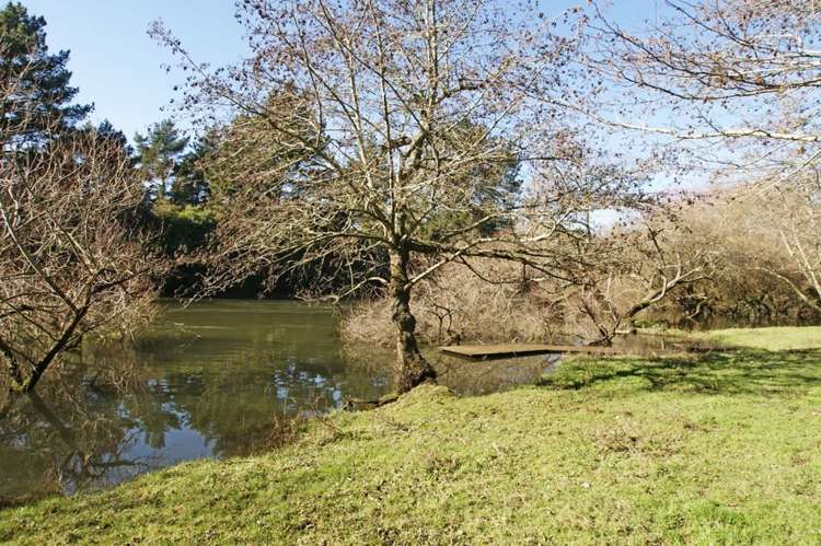 388 Airport Road Rukuhia_18