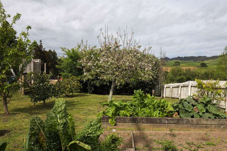 1025 Hetherington Road Ruawaro_8