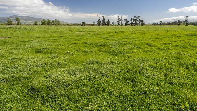 178 Pahautea Road Kahutara_1