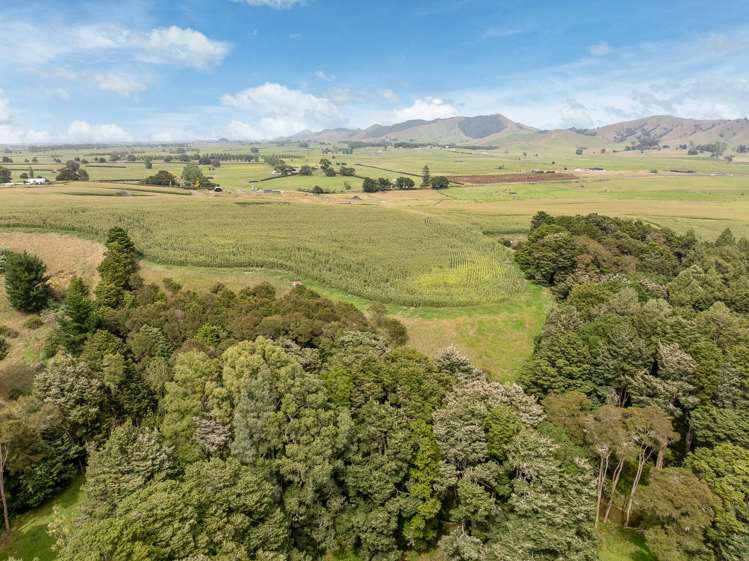 1179 Tahuna Road Ohinewai_13