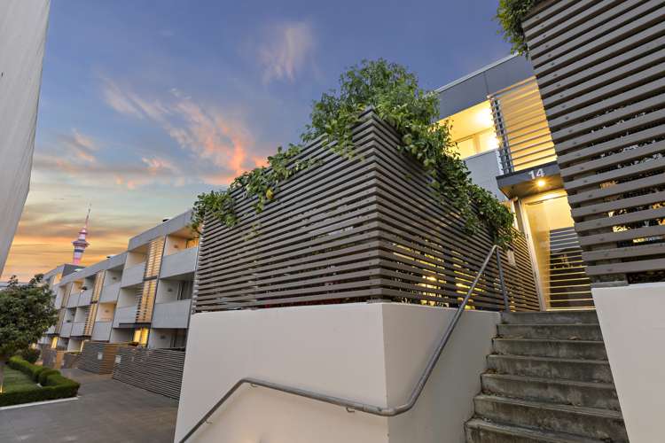 3a/14 Fisher-Point Drive Auckland Central_19