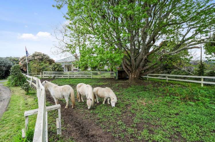 19 Awaroa Landing Road Whangape_21