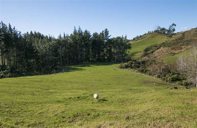 371 Esdaile Road Whakamarama_3