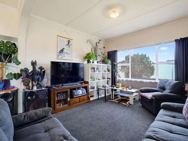 50 Pitt Street Raetihi_2