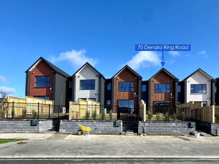 70 Dendro Ring Road_0