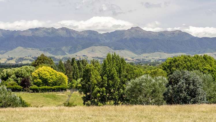 223 Masterton Stronvar Road Masterton_17