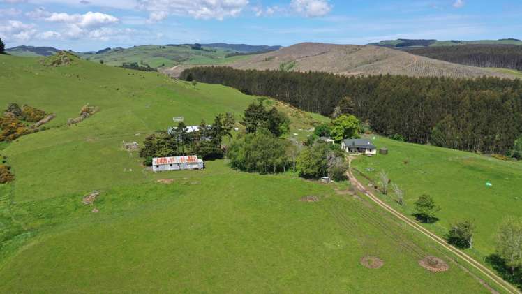 46 Wairata Road Pine Bush_5