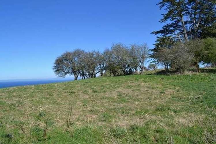 215 Green Island Bush Road Waldronville_15