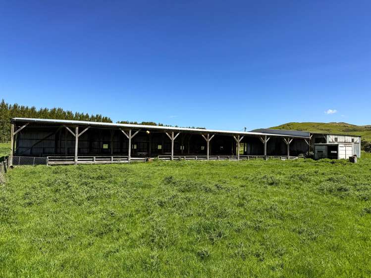 840 Ardlussa Cattleflat Road Cattle Flat_5