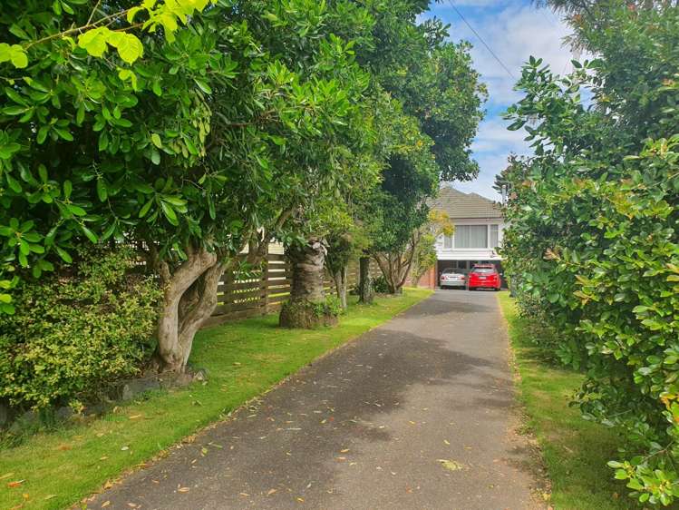 85 Campbell Road One Tree Hill_6