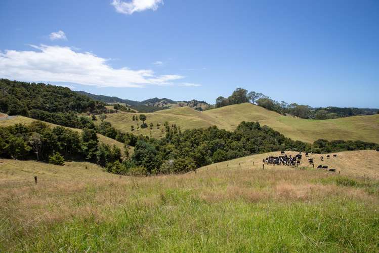 538 Hailes Road Whananaki_8