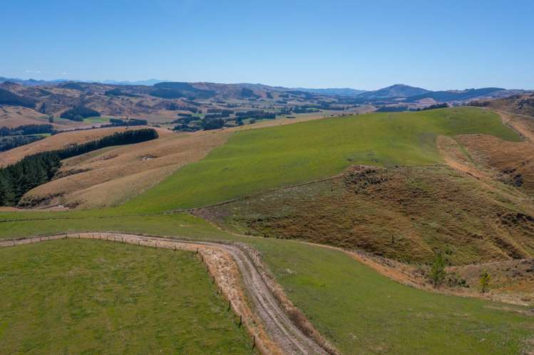 2118 Omihi Road Greta Valley_8