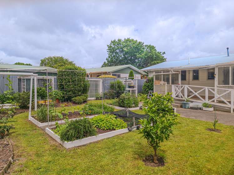 25 Adkin Avenue Levin_20