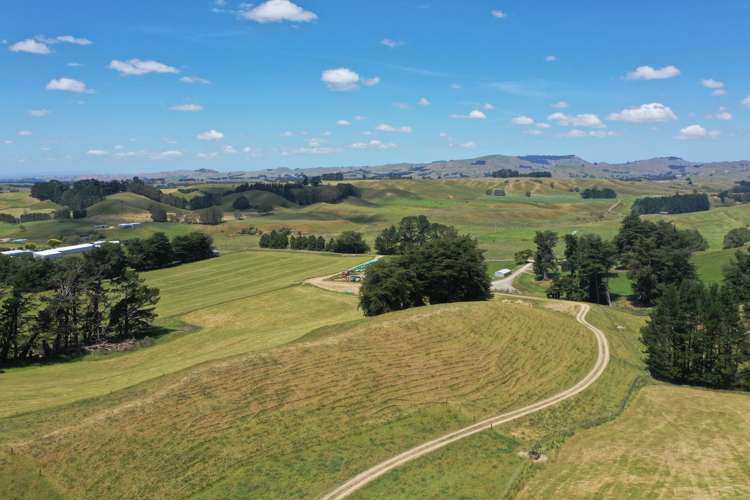 83 Norsewood Ormondville Road Norsewood_18