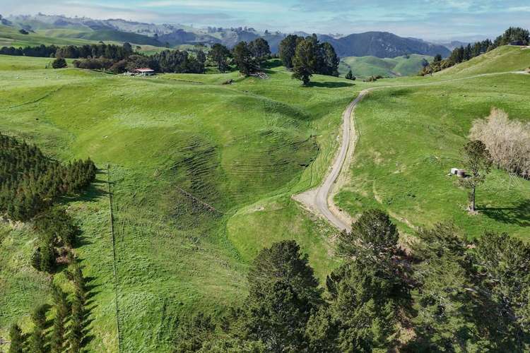 494B Dods Road Waikite Valley_8