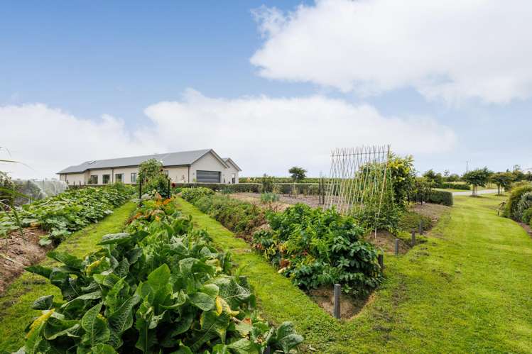 581 Lethbridge Road Halcombe_29