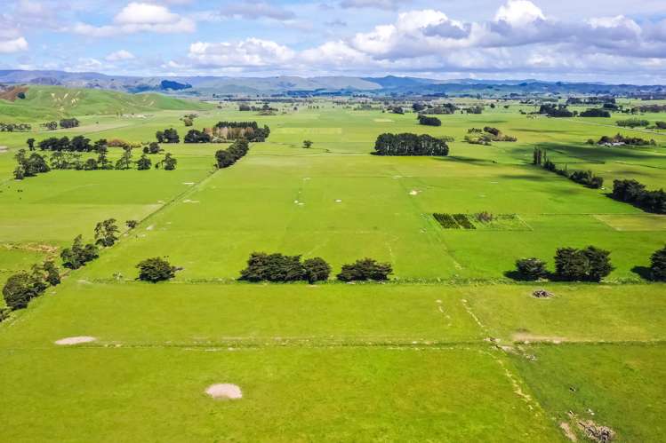 168 Range Road Woodville_13