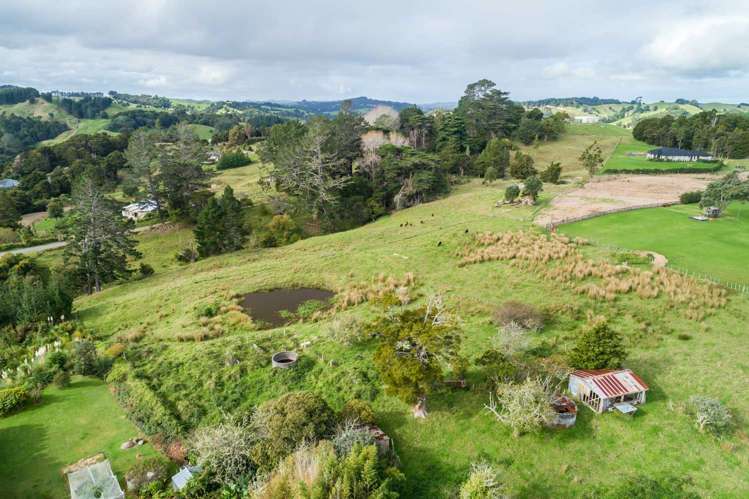 State Highway 12 Paparoa_6