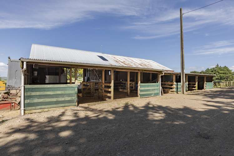 227 Whenuahou Road Norsewood_17