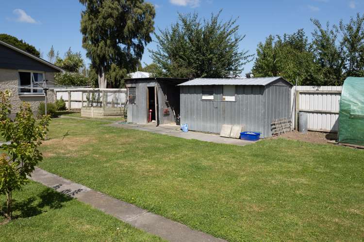 74 David Street Hinds_14