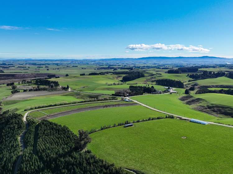 125B Davidson Road Mimihau_9