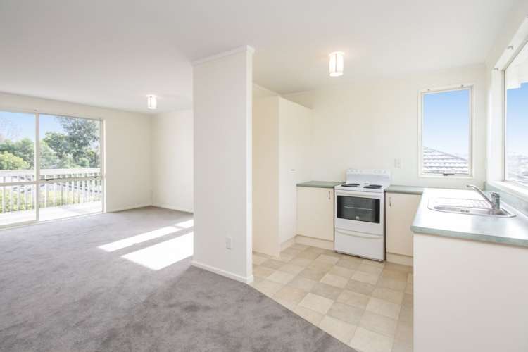 33 Hewlett Road Massey_9