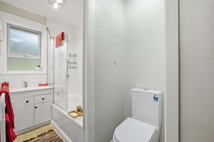 21 Spottiswoode Street Andersons Bay_12