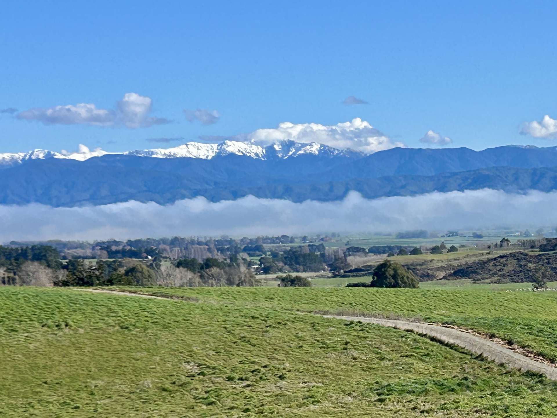 7 Ranginui Drive Carterton_0