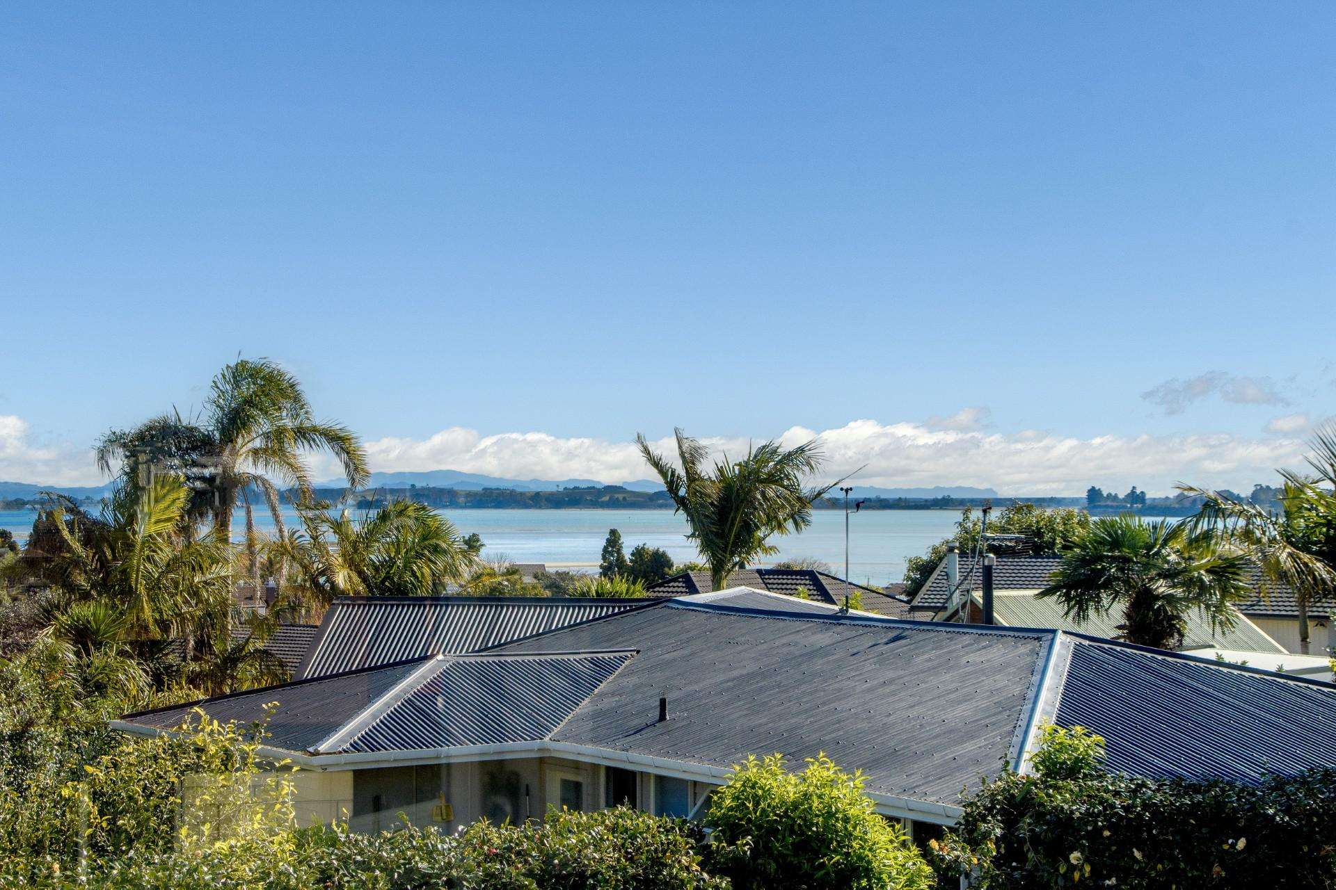 55 Smiths Road Matua_0