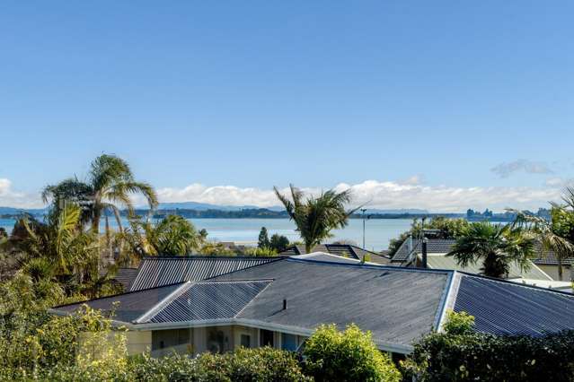 A Rare Slice of Golden Matua Real Estate