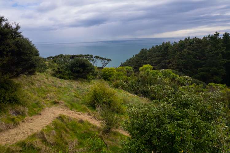 Whaanga Road Raglan_10