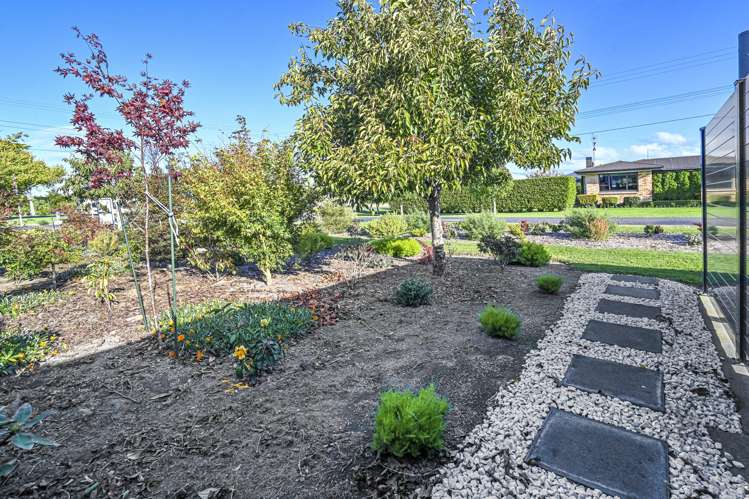 34 McElwee Street Jervoistown_21