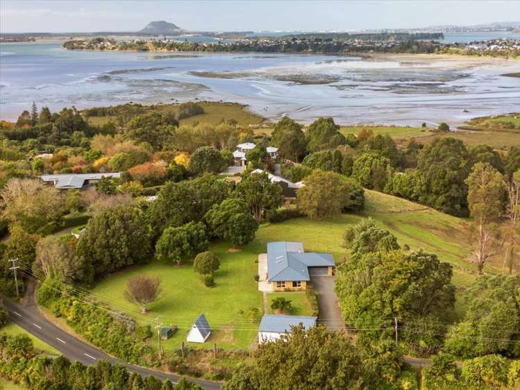 288a Pahoia Road Whakamarama_19