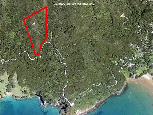 560 Blind Bay Road Great Barrier Island_3