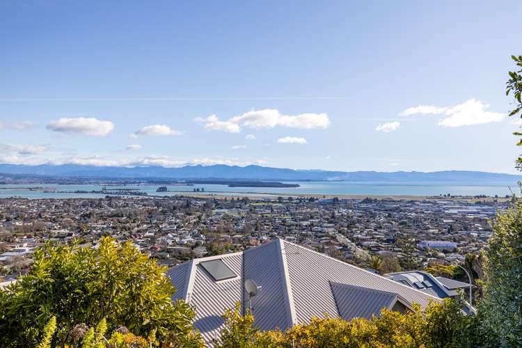 47 View Mount Stoke_26