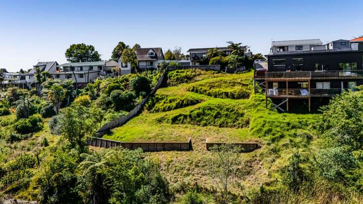 63b Heta Road Highlands Park_3