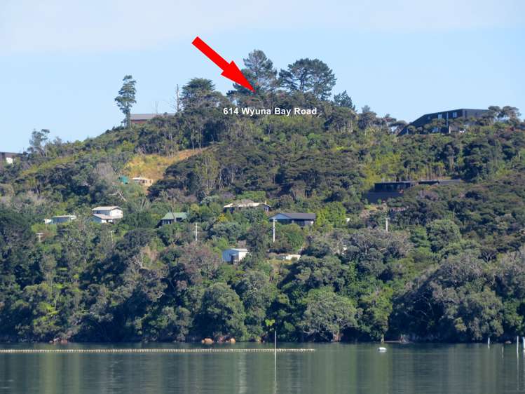 614 Wyuna Bay Road Coromandel_1