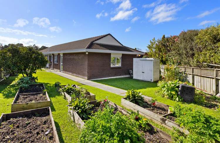 19 Melwood Drive Warkworth_9