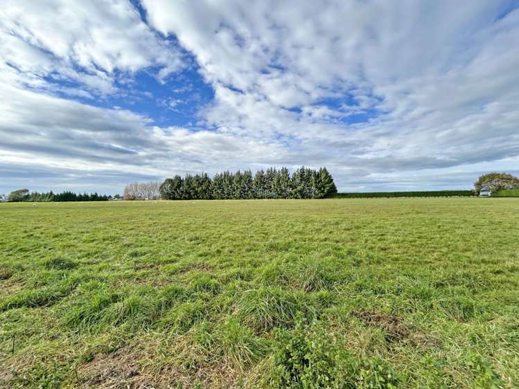 137 Seaward Road 11154_15