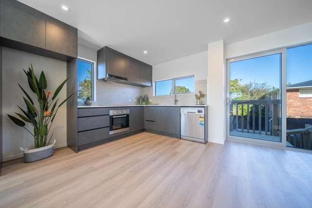 26A Trojan Crescent New Lynn_1