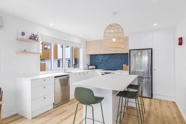 14 Mountfort Street Spreydon_3