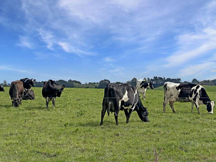 Hillend Road and Falla Burn Road Hillend_14