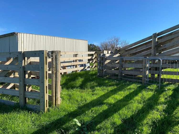 8945 Paeroa Kopu Road Puriri_20