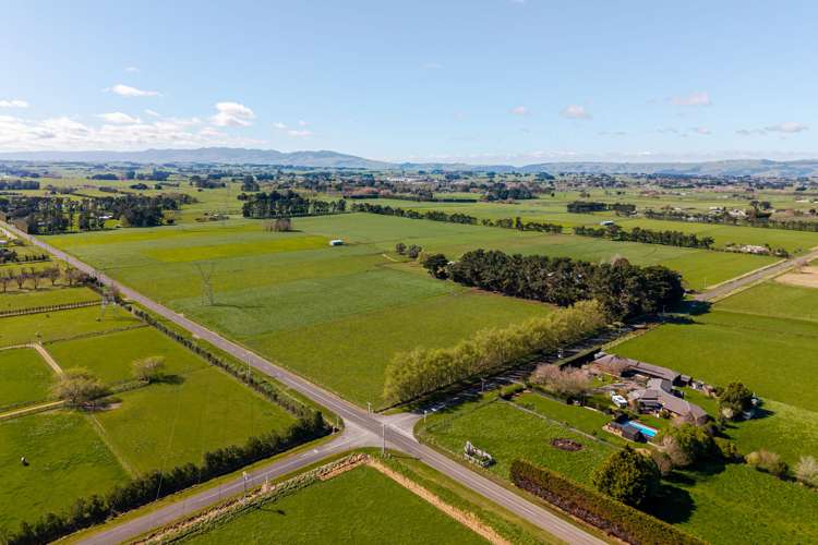 1040 Roberts Line Bunnythorpe_17