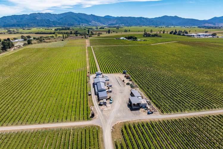 1 Wairau Plains Renwick_24