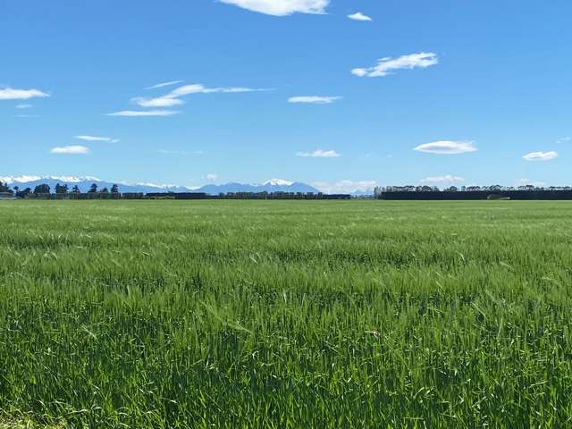 Coldstream Rural Wi Stevens Road | Coldstream | Ashburton | Rural Property For Sale - OneRoof